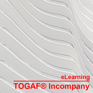 Incompany TOGAF eLearning